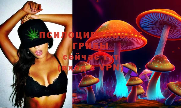 молекула духа Абинск
