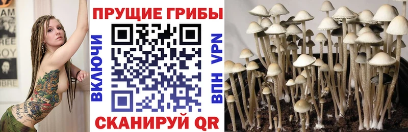 купить наркоту  Сычёвка  Галлюциногенные грибы ЛСД 